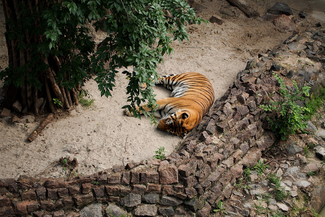 Поход в николаевский зоопарк.