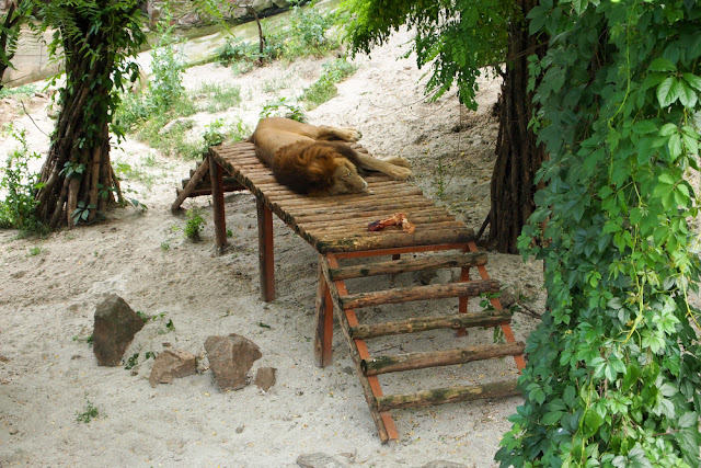 Поход в николаевский зоопарк.
