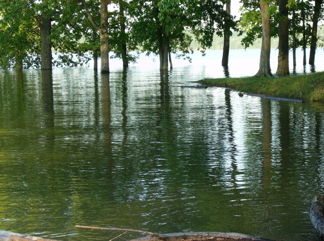 [Tennessee River Paris Landing May 2011 Flood[3].jpg]