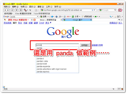 在 Google Images 中搜尋 Panda