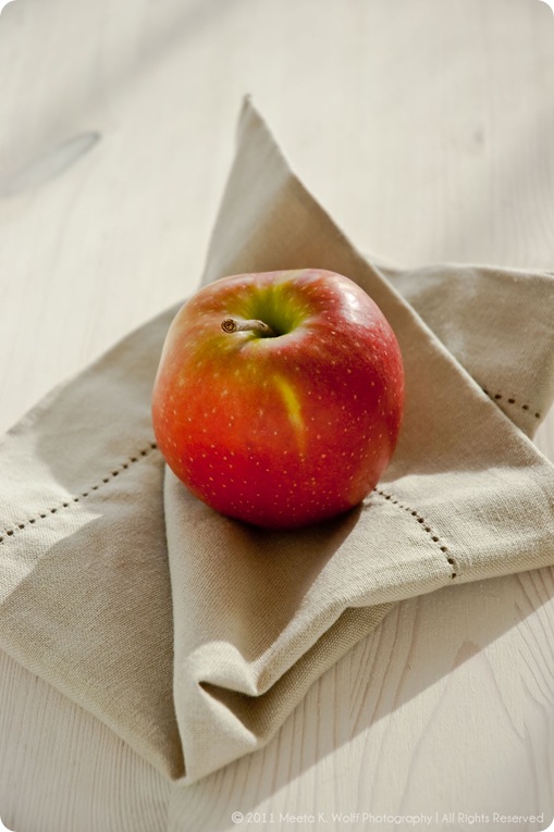 Cinnamon Kissed Apple and Goji Berry Strudel _ APPLE_ 0005 by Meeta K. Wolff