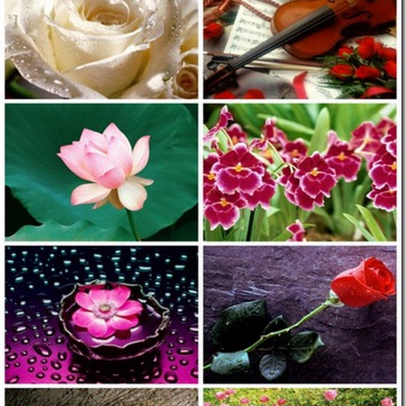 30 Flower Mix Wallpaper