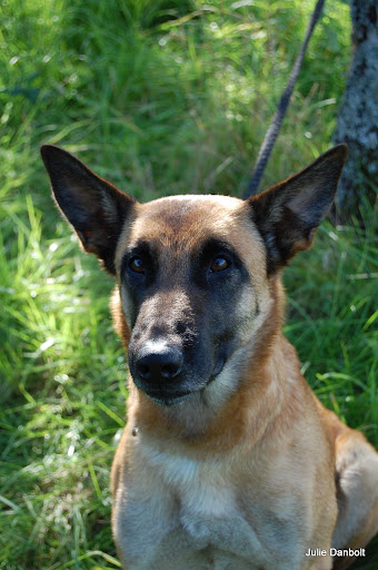 DSC_5009.JPG
