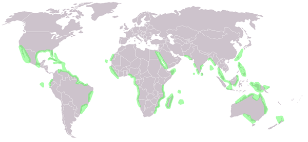 World_map_mangrove_distribution