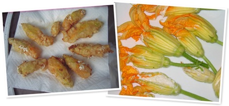 View fried zucchini blossoms