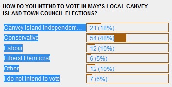 Town Council Straw Poll Votes