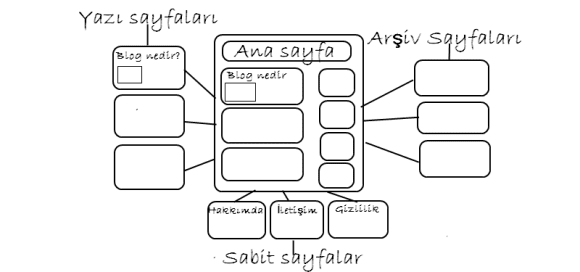 ana-sayfa