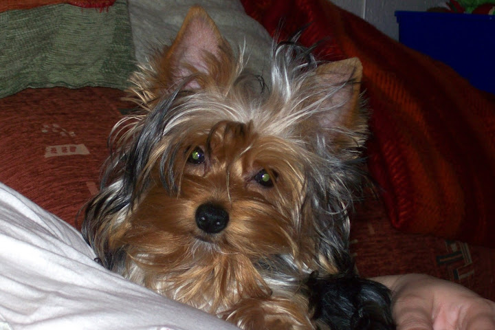 100_6981-1.JPG