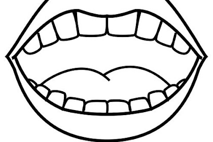 Dibujo De Las Partes Del Cuerpo Humano Para Niños