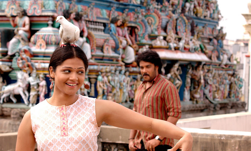 CLICK THE ABOVE ARROW TO  ZOOM THE IMAGE