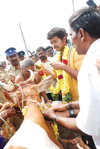 CLICK THE ABOVE ARROW TO  ZOOM THE IMAGE