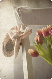 [zapatillas--y--tulipanes--con-textur.jpg]