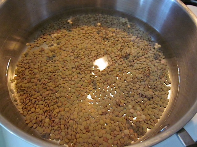 lentils and water in pot 