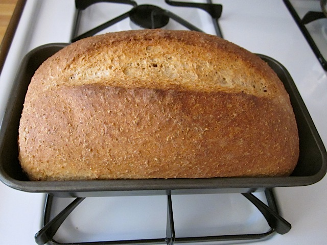 baked honey wheat bread in pan 