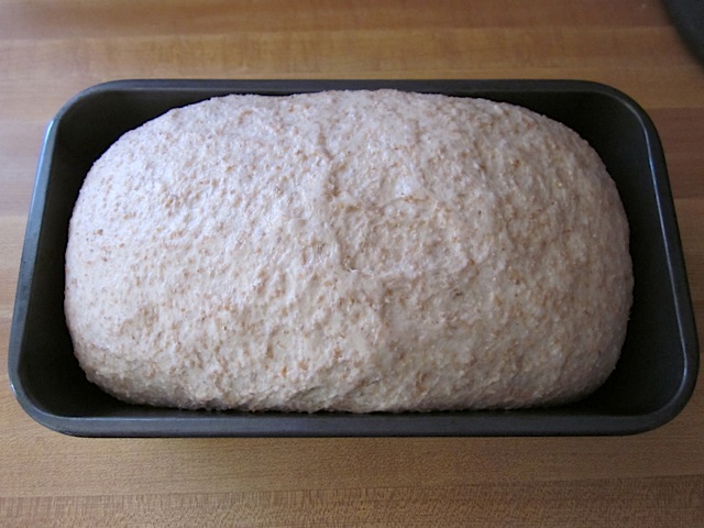 risen dough in pan 