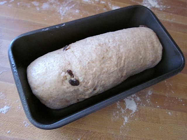 rolled up cinnamon raisin dough in pan