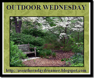 Outdoor_Wednesday_logo_thumb[1]