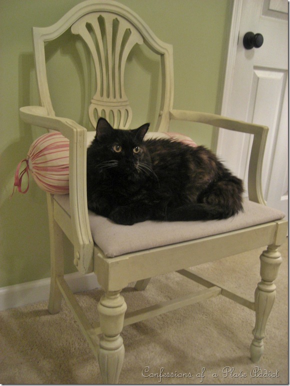 IMG_2838 IMG_2838