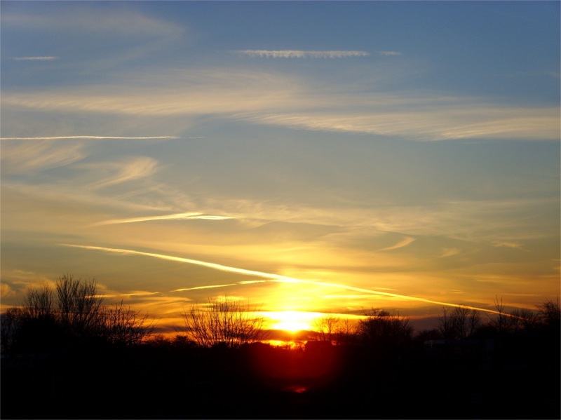 Allotment Heaven How to make a rat proof chicken feeder