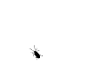 baratinha.png
