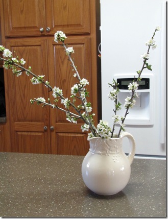 pitcher blossoms1