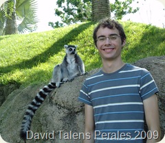 David y lemur