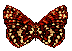borbo30.gif