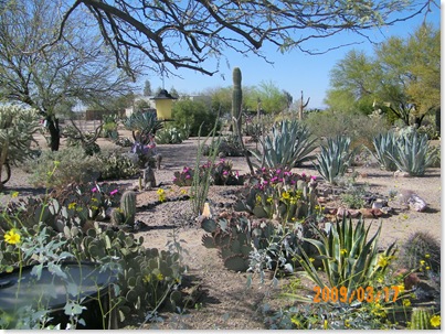 Sunscape RV Resort Cactus Garden