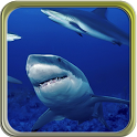 Puzzi puzzles sharks in HD icon