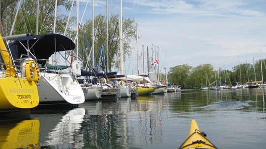 Toronto Island Sailboats