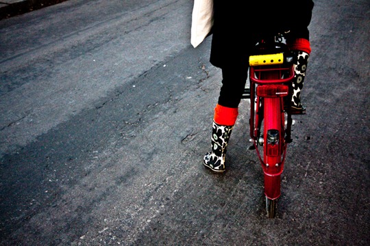 Dutch Cycle Chic - Toronto Style