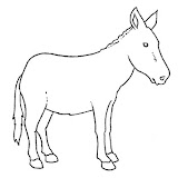 mulo.jpg