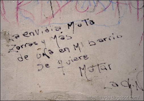 Mata zorras, graffiti