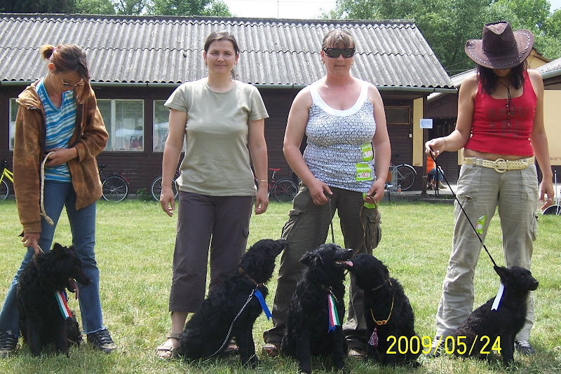 2009.05.24%20Szolnok%20CAC%20024.jpg
