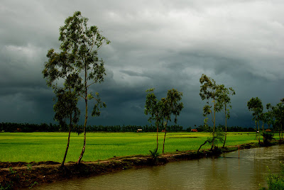 Nilanjan Mitra