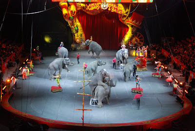 Ringling Bros and Barnum & Bailey's Over the Top