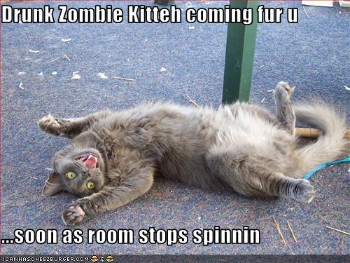 Drunk Zombie Kitten!