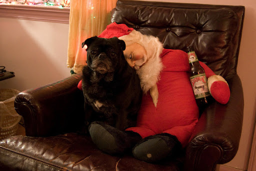 Pug.  Santa.  Beer.