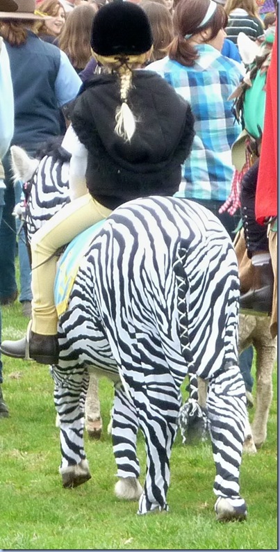 zebra pony
