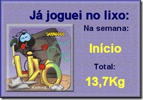 lixo12092009