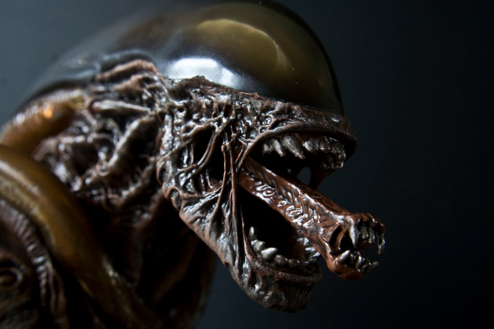 Alien%2Bpose%2B12.JPG