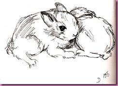 bunny drawing 1