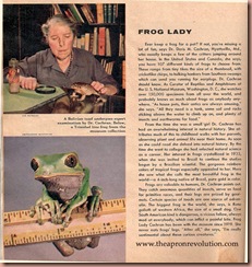 froglady