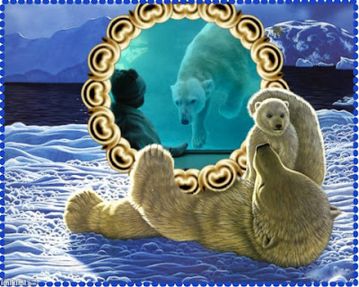 urso.jpg