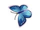 butterfly (6)