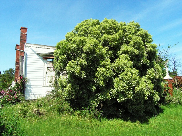 [P1010033 (2)[5].jpg]