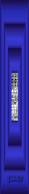 dns3.png