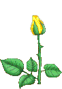 dns47.png