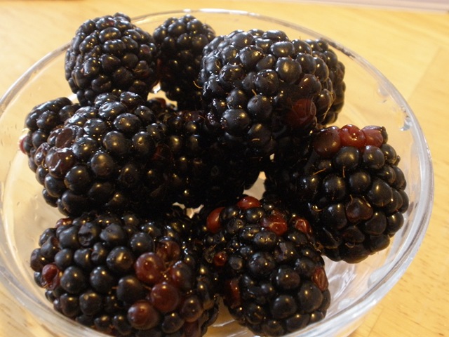 [blackberries[3].jpg]
