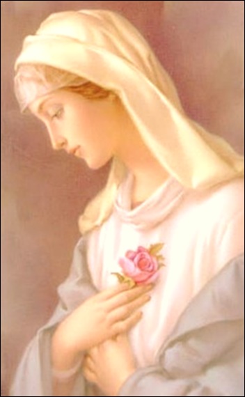 Mamá María Reina del Cielo y tierra